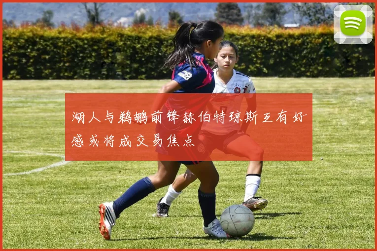 湖人与鹈鹕前锋赫伯特琼斯互有好感或将成交易焦点