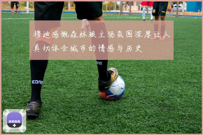 穆迪感慨森林狼主场氛围深厚让人真切体会城市的情感与历史