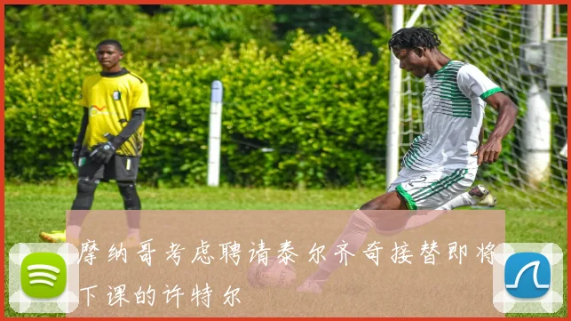 摩纳哥考虑聘请泰尔齐奇接替即将下课的许特尔
